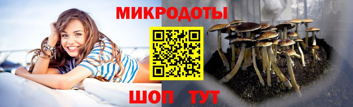 Псилоцибиновые грибы Psilocybine cubensis Азов